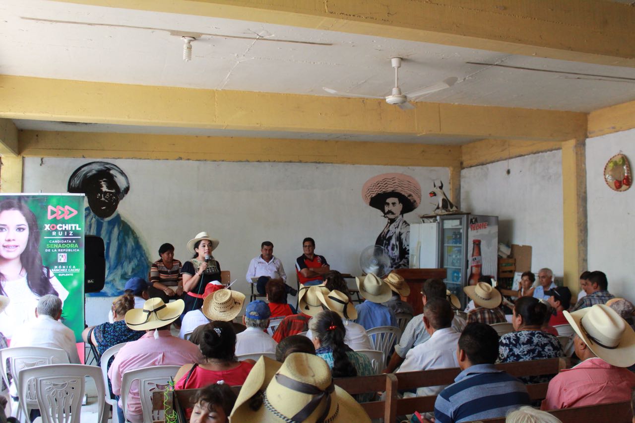 xochitl 1 4