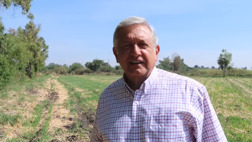 amlo