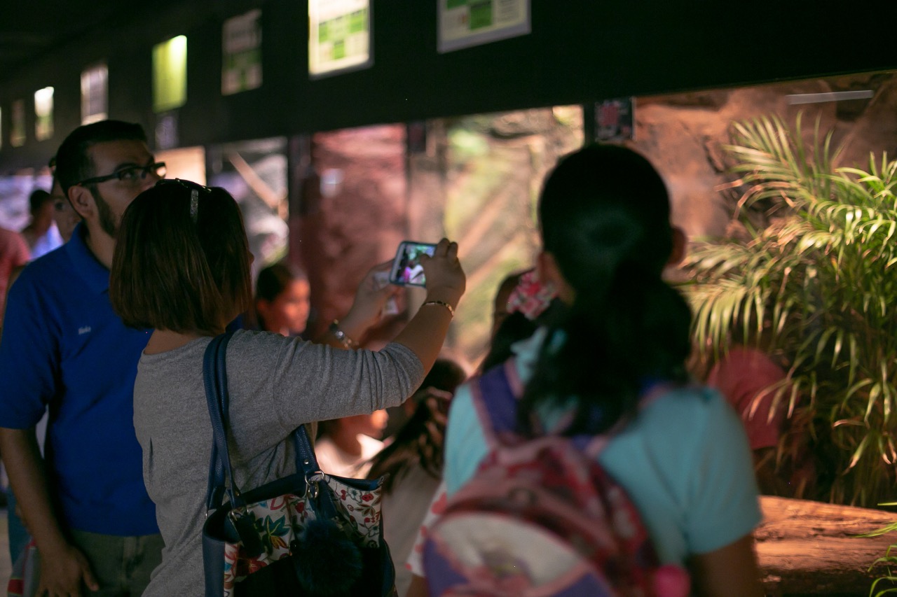 zoologico