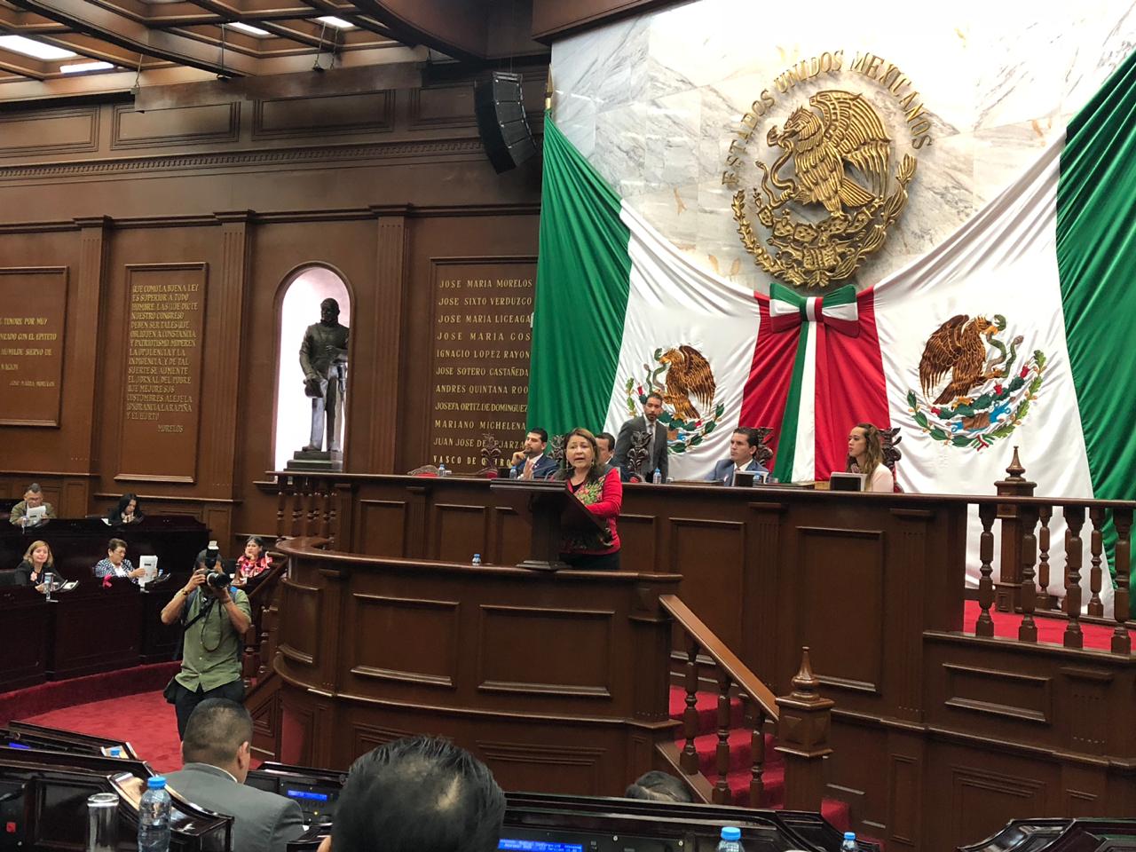 No nos sentimos incluidos: Morena