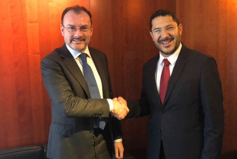 Videgaray y Senado
