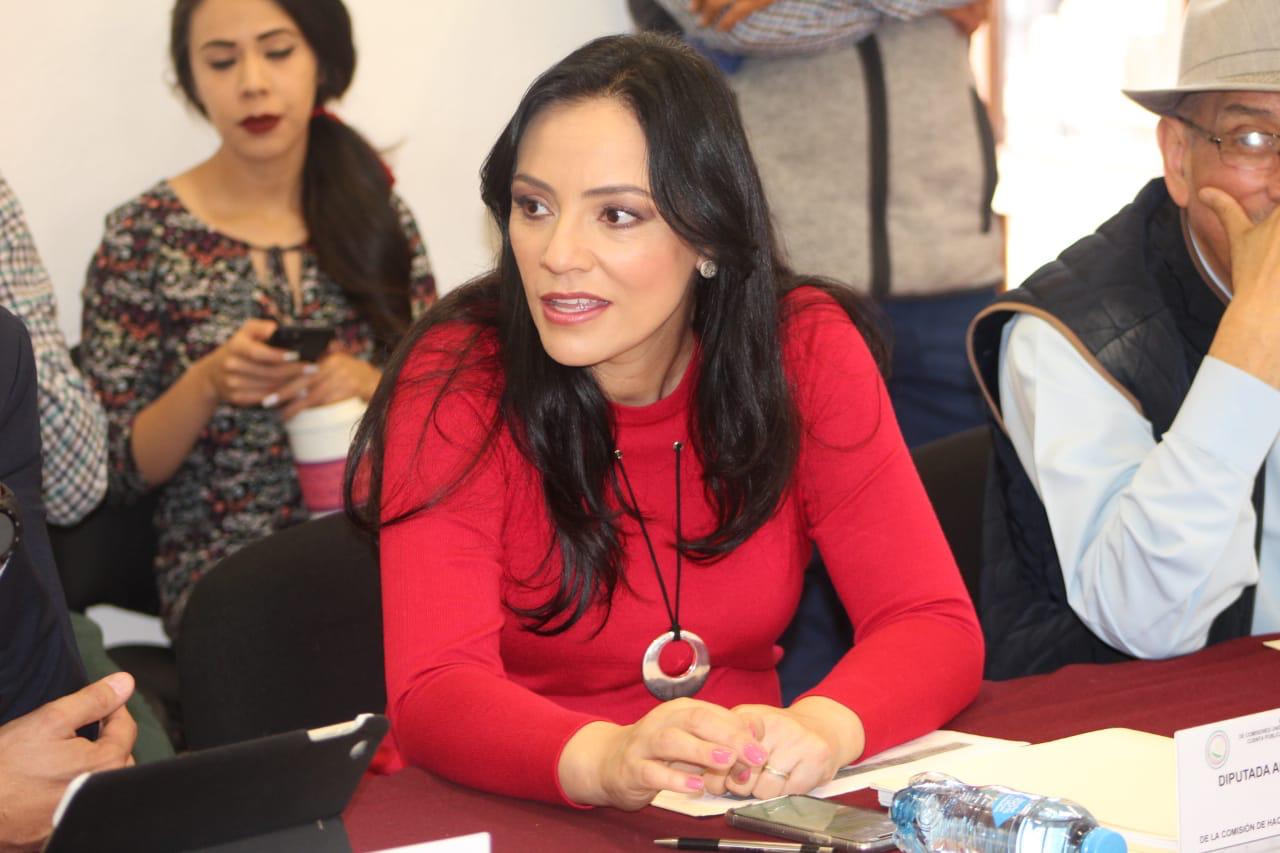  “Creo que se hace un acto de justicia, liberación de Jesús Reyna”: Adriana Hernández Iñiguez