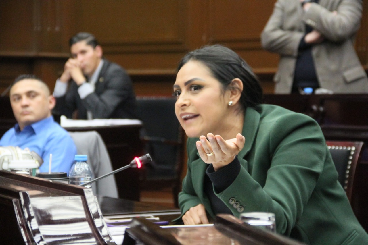  Michoacán recibirá 135.5 mdp menos en materia de turismo en el 2019: Araceli Saucedo