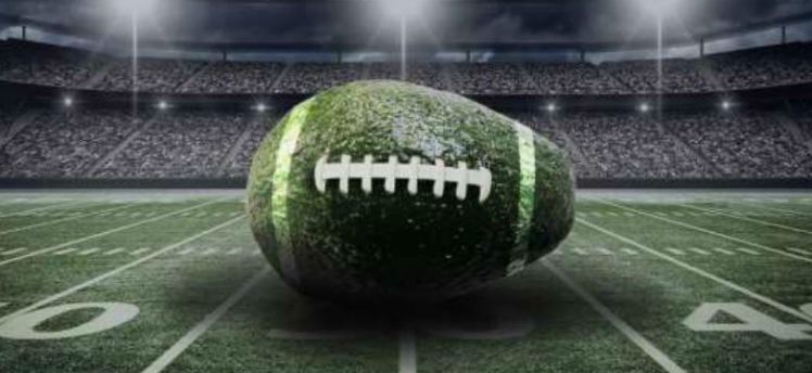  Aguacate michoacano, estrella del Súper Bowl LIII: Sedrua
