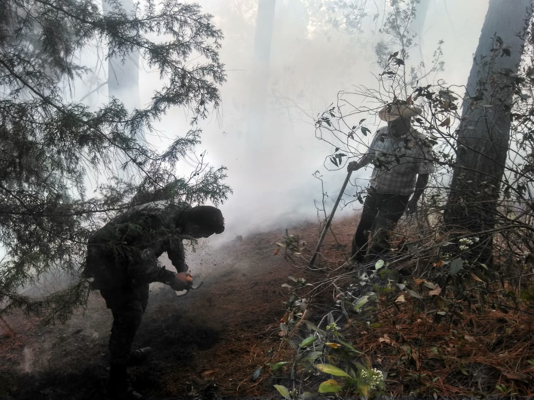  Sofoca Policía Federal incendio en Michoacán