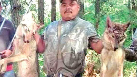  Denunciará Profepa a regidor de Áporo por caza ilegal