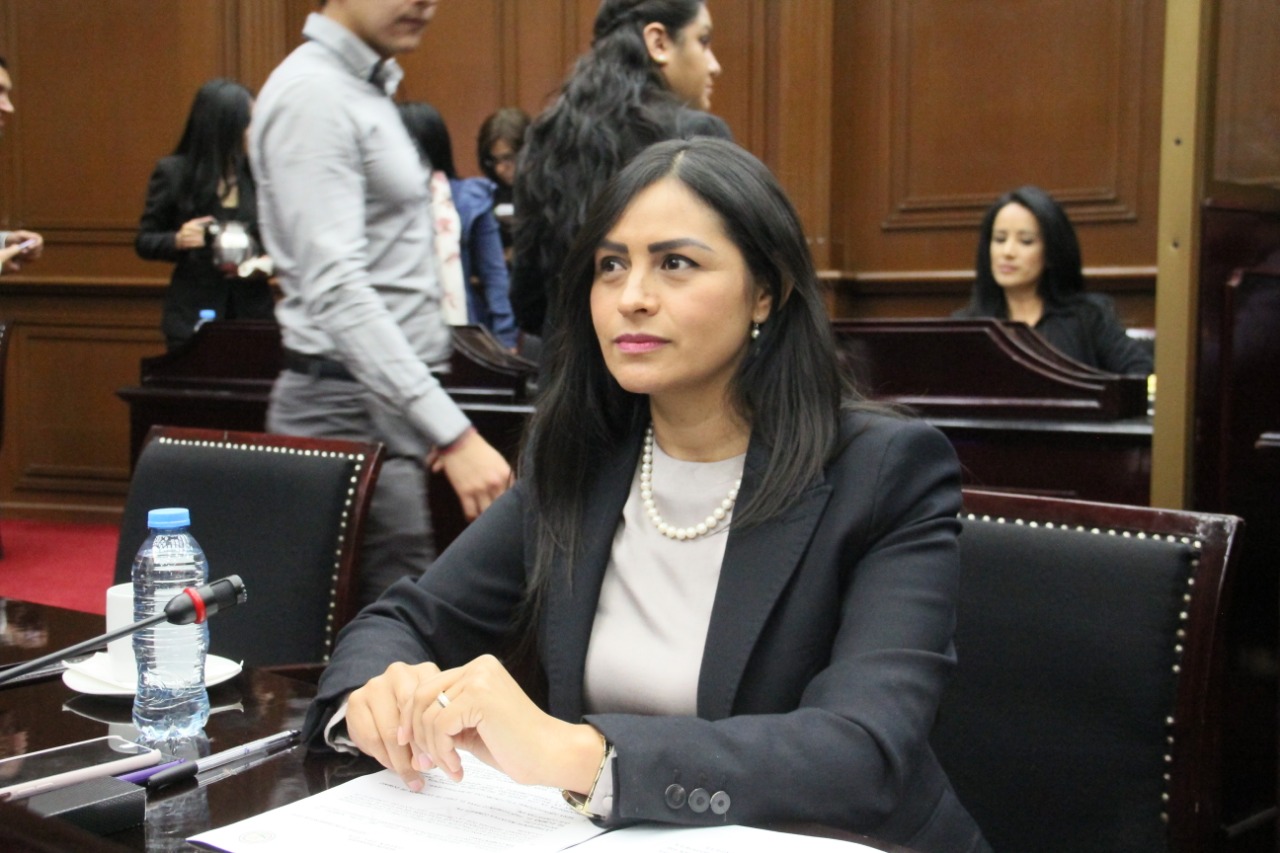  Error que mandos militares estén a cargo de acciones de seguridad: Araceli Saucedo Reyes