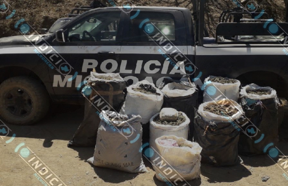  Asegura SSP más de una tonelada y 10 plantíos de enervantes en Villa Madero