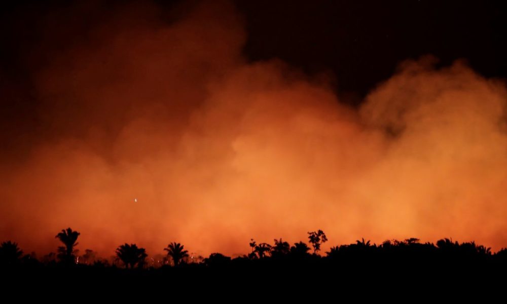  Días grises y noches amarillas: así es el Amazonas ‘bajo fuego’