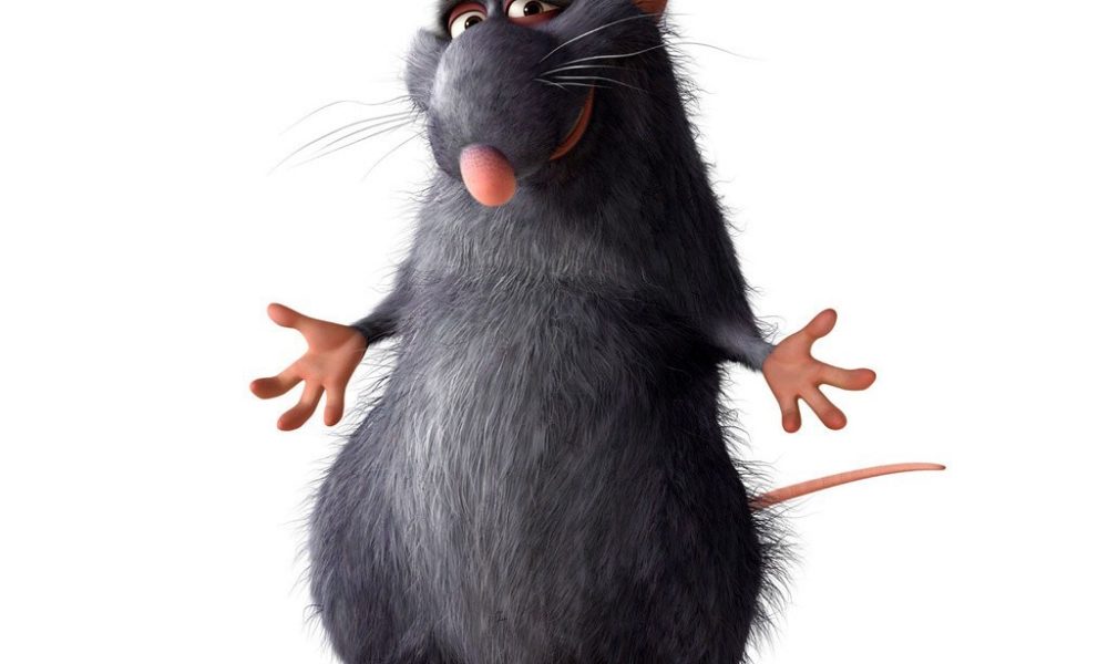  Por una “rata traviesa”, el Diputado Fermín Bernabé cambia sede de su informe