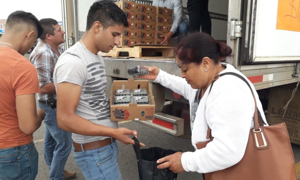  ¡A 100 pesitos! Productores de Zarzamora rematan producto en Morelia