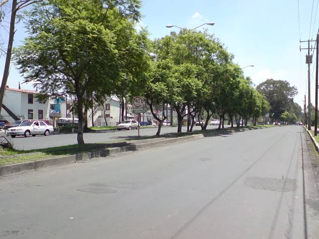images 4