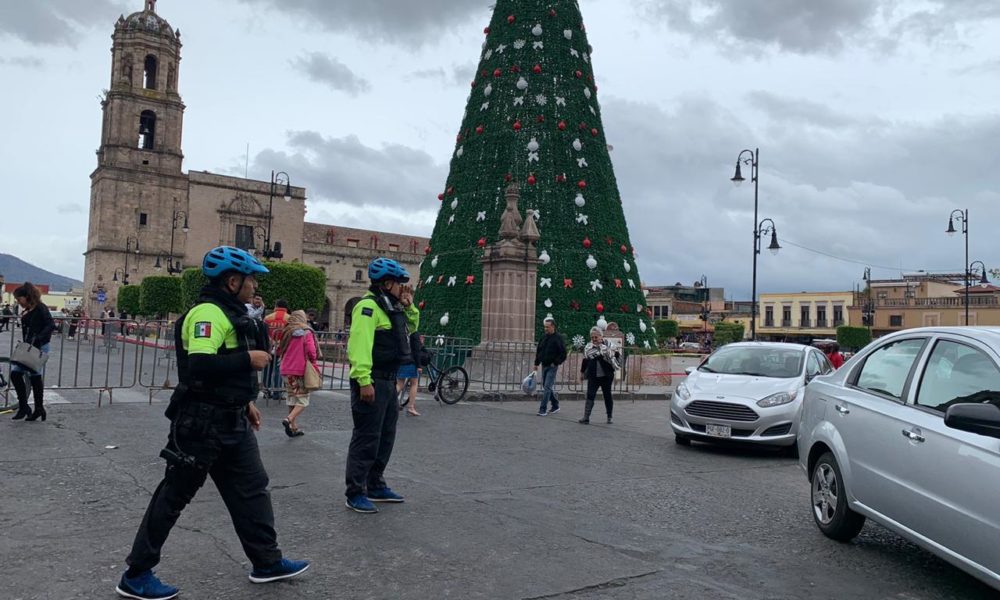  Árbol Monumental de plaza Valladolid se desmontará a causa de fuertes vientos