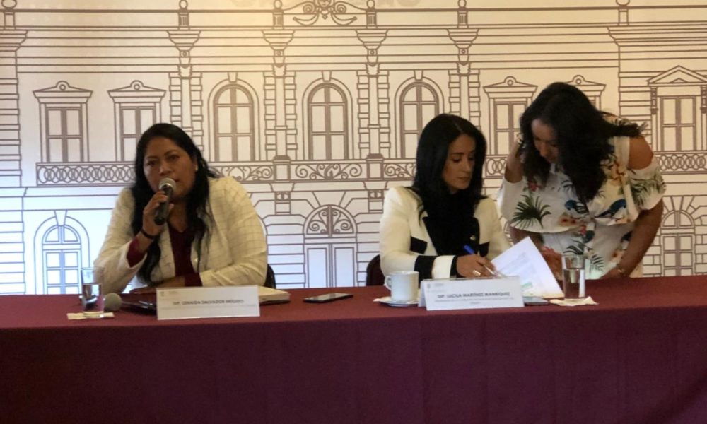  “No es escondiéndonos” que se generará un cambio, mencionó Diputada morenista, ante el Paro Nacional de Mujeres