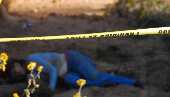 22 Feminicidio
