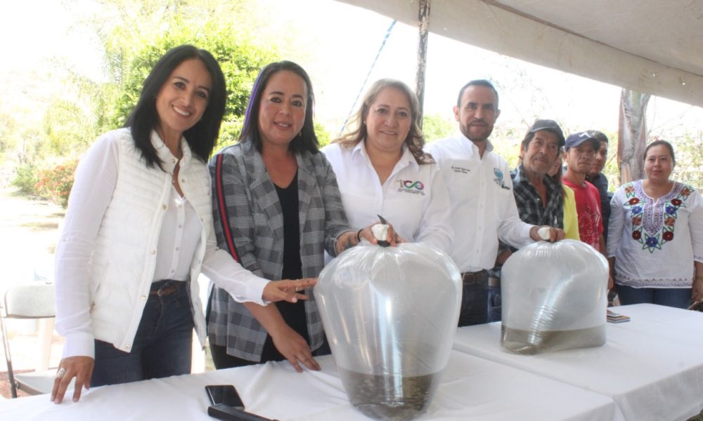  Gestiona Lucila Martínez tilapias y apoyos alimentarios para mujeres en San José Cuaro