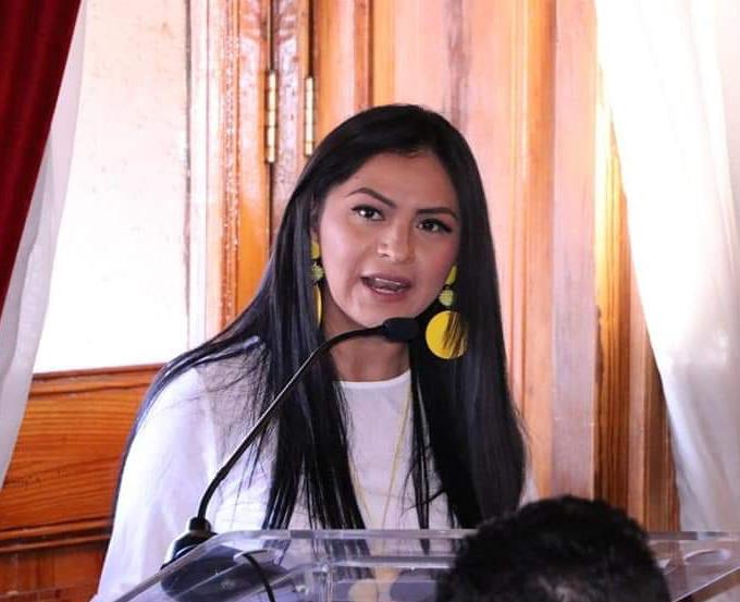  Urge que Federación ponga en marcha plan emergente ante afectaciones a la economía por Covid-19: Araceli Saucedo