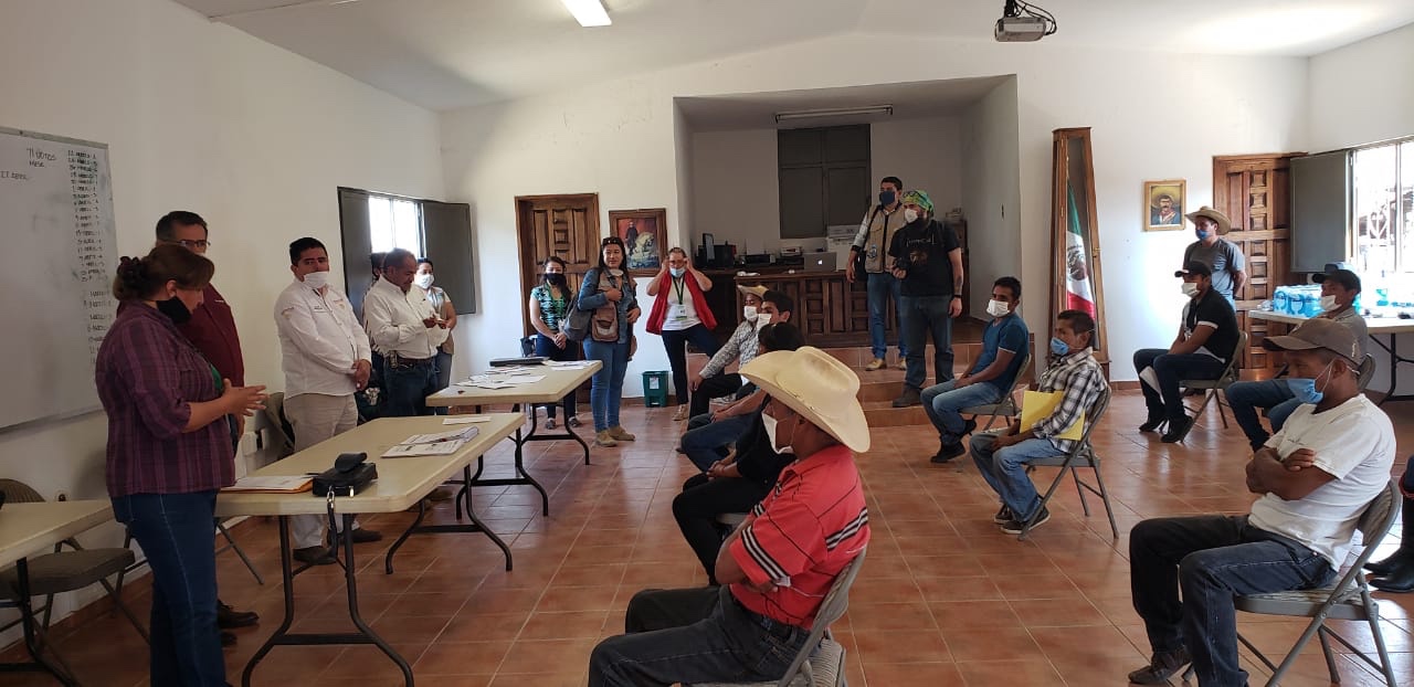 Gobierno de Morelia inicia programa "Sembrando Vida", apoyos en la zona rural 1 52492ade 923b 43c1 8042 6e76ee3827bb