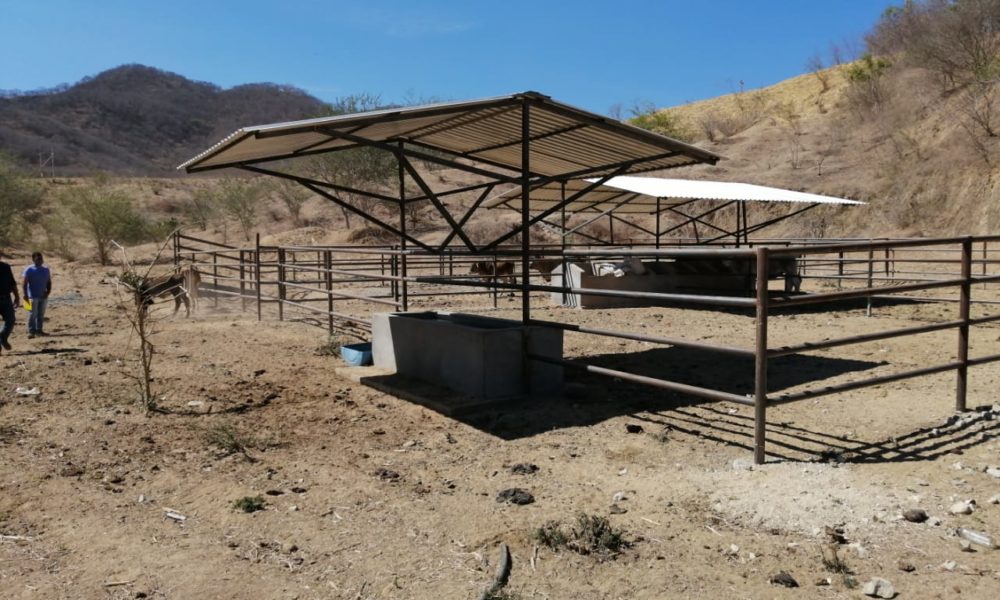  Supervisa Sedrua en Michoacán construcción de corrales de manejo