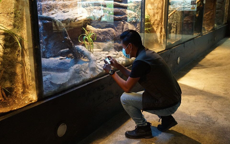 Zoo de Morelia