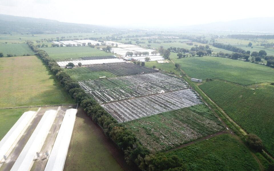 denuncias agroindustria2