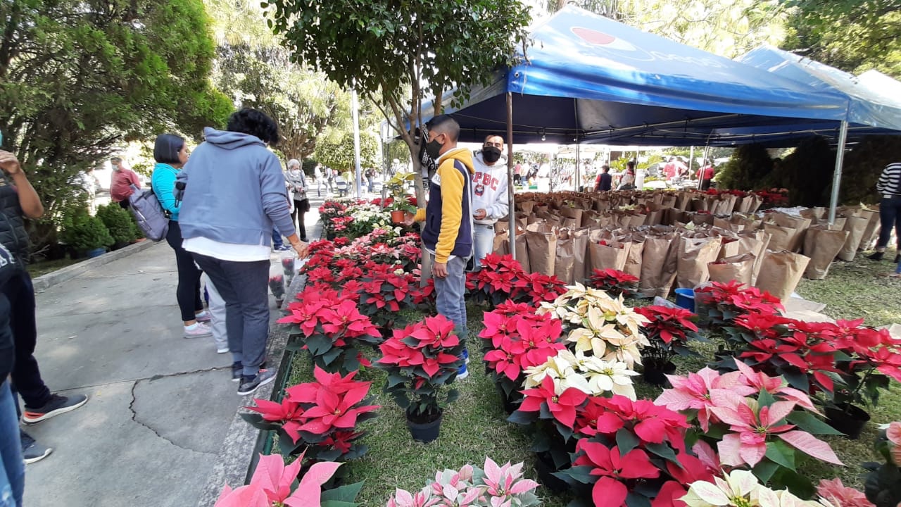 Hoy, ultimo día de bazar navideño en Morelia 1 abd41ef5 3b9b 4cff 9a8c 0a55c231e85a