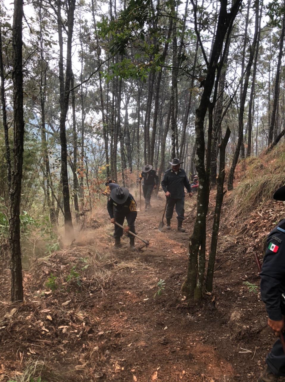 SEDENA, aplica Plan DN-III en Los Reyes, ante nuevo incendio forestal 3 31029f5e 81ed 41bb 9270 91860f33e338