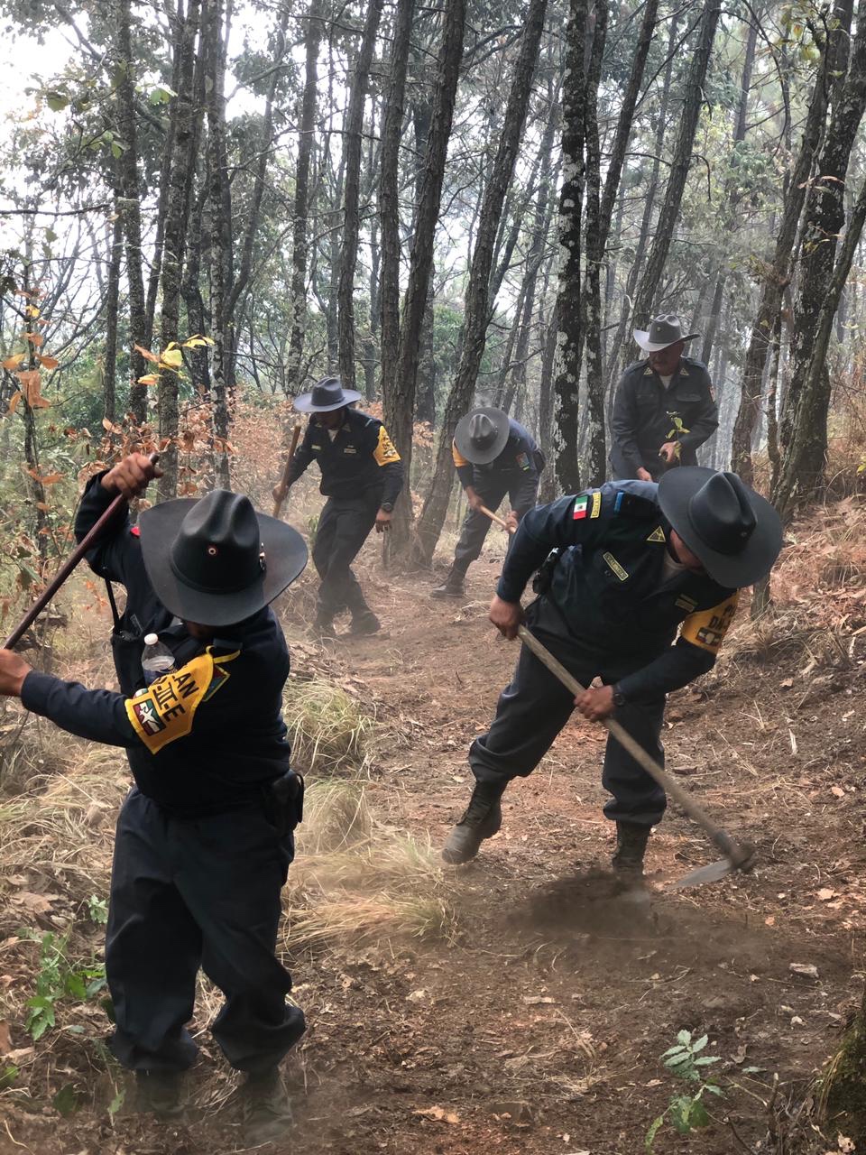 SEDENA, aplica Plan DN-III en Los Reyes, ante nuevo incendio forestal 1 510c1a6f 8894 401d 8ab5 af3ef4d204d0