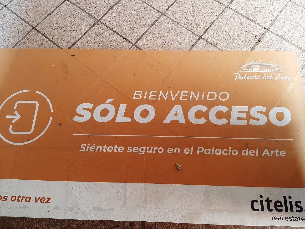 María José, hará reconexión en Morelia con sana distancia 2 c0da4011 852c 47d0 82b7 a90aee80c383