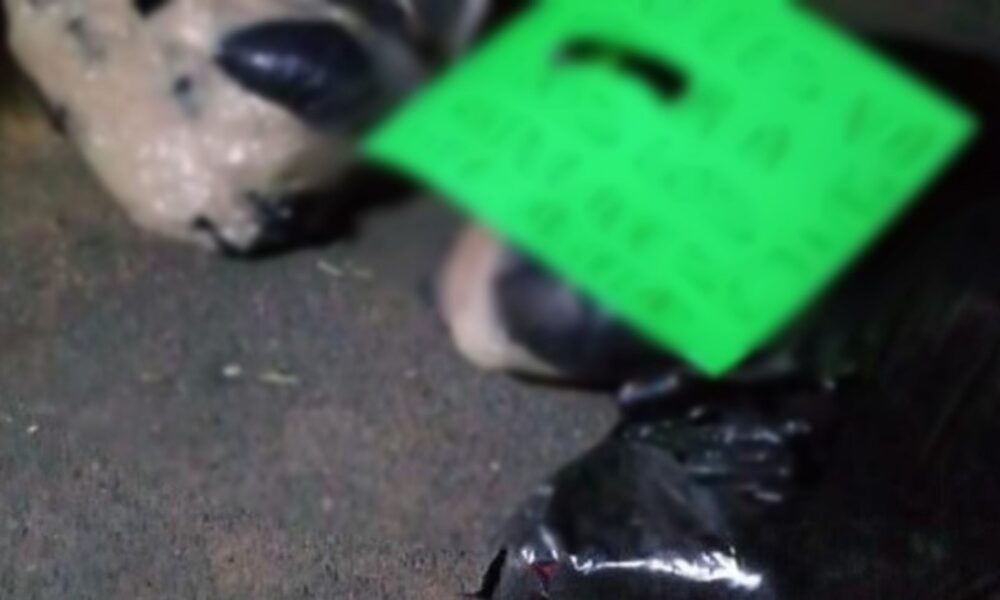 Abandonan 3 desmembrados en la carretera Cotija – Tocumbo