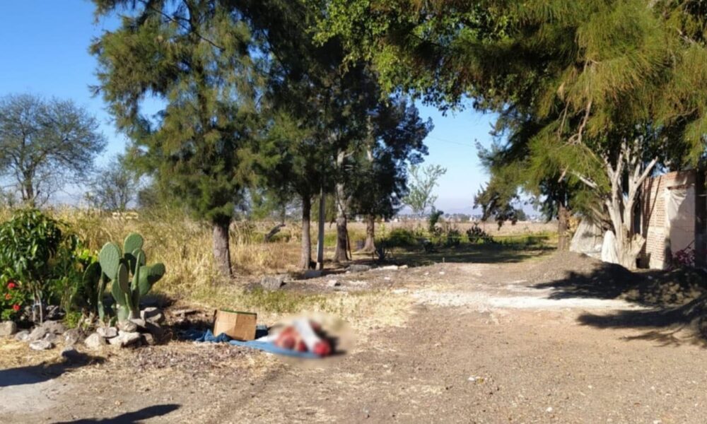  Localizan cadáver decapitado y con los brazos mutilados, en la periferia de Zamora