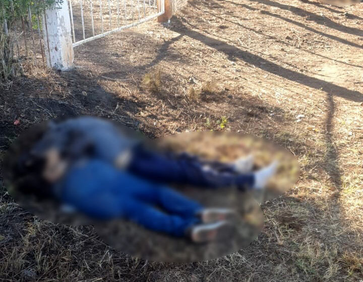  Localizan otros cuatro asesinados en predio de Tingüindín