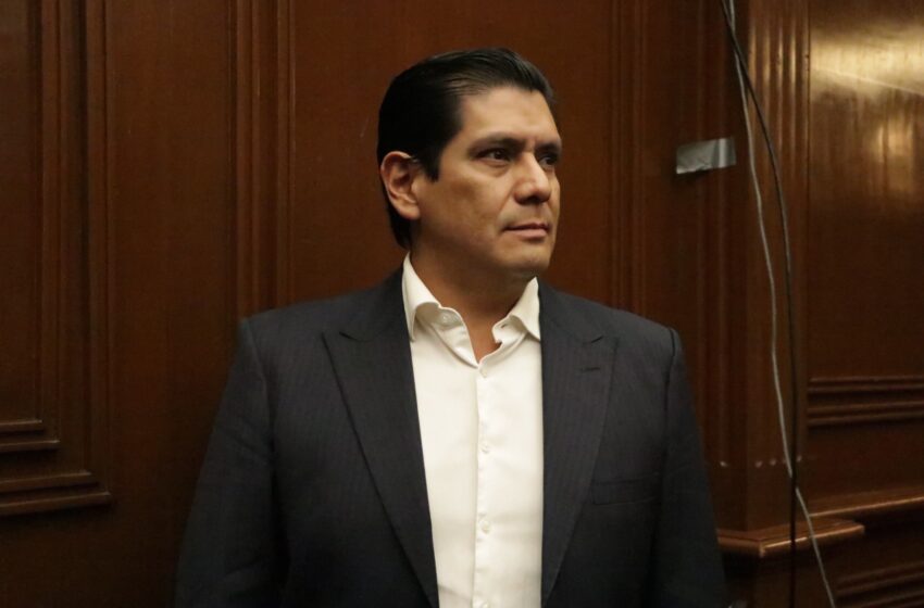  Partido Verde celebra decisión de reanudar inspección al aguacate michoacano