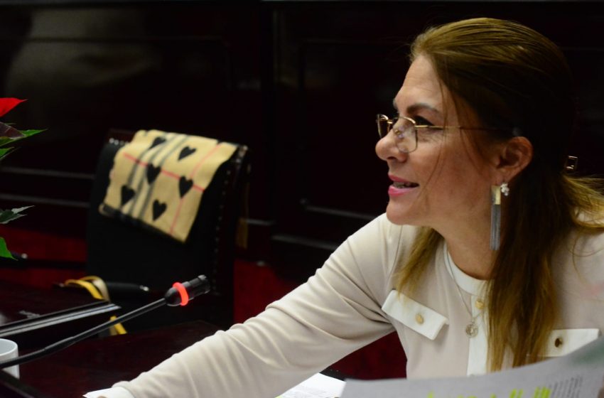  Centros de rehabilitación no deben dejar de operar: Dip. Luz García