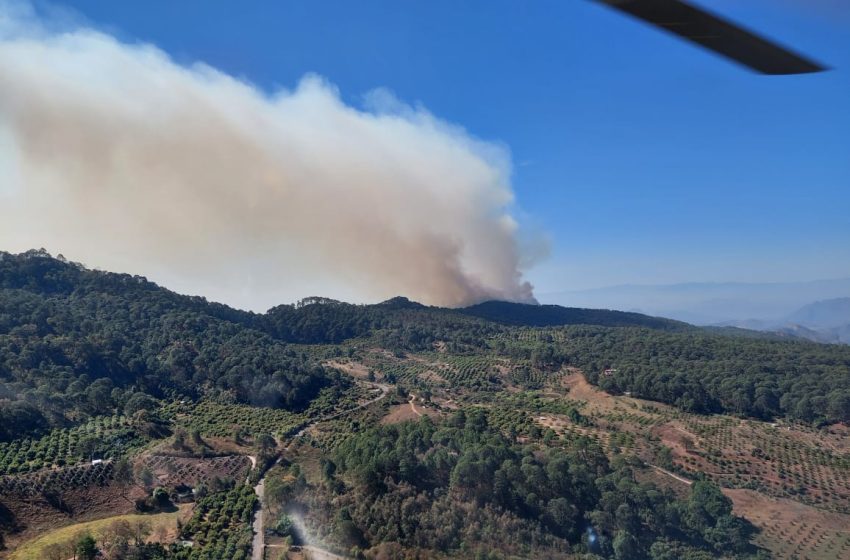  Sofocan incendio forestal en Cotija, reporta Cofom
