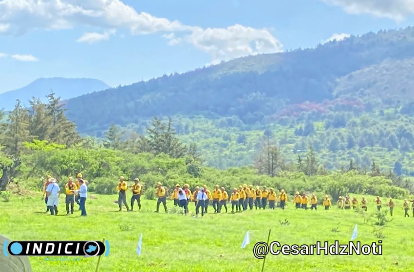 Reconocen a brigadistas por labor heroica contra incendios forestales