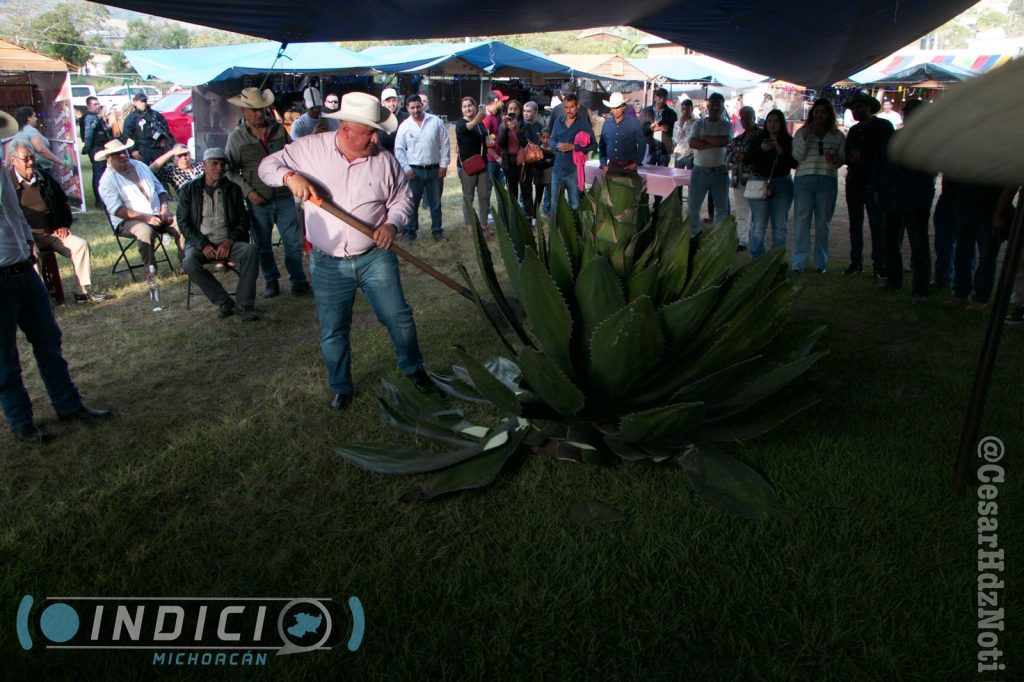 ¡Ven a Michoacán! Listo 10 Festival del Mezcal en Etúcuaro 5 cae0bedb 5fee 4ed5 83aa 8dece32a9657