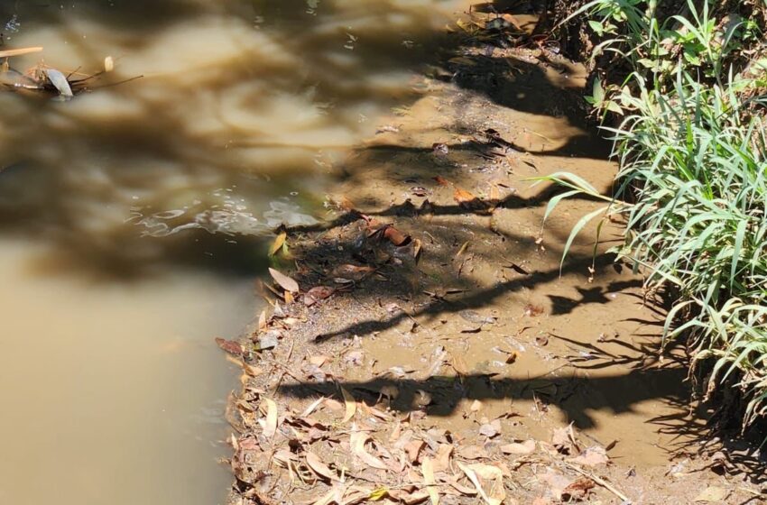 Con dos denuncias, OOAPAS responde al Zoológico de Morelia por inundación