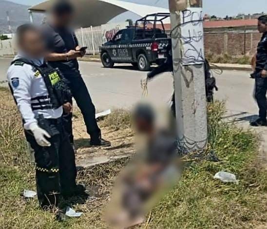  Presunto ladrón es golpeado y atado a un poste en Morelia