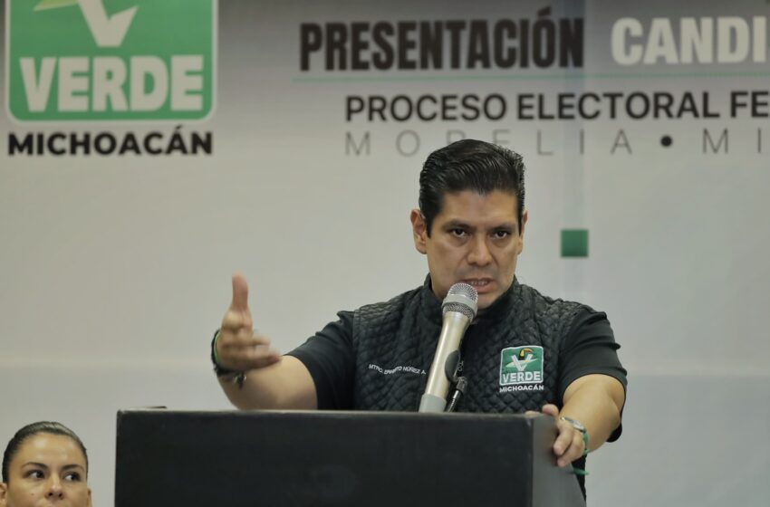  Coordinación de fracción parlamentaria del Partido Verde la definirá la dirigencia: Ernesto Núñez