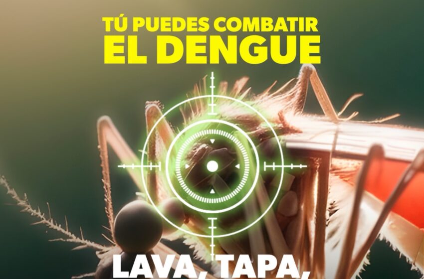  ¡Aguas con el dengue! Estos factores favorecen su desarrollo en el hogar
