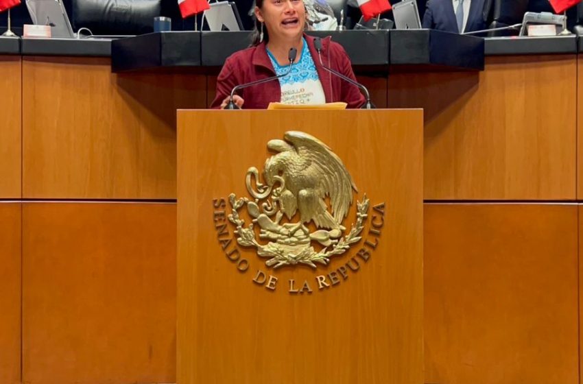  La reforma indígena salda una deuda histórica: Celeste Ascencio