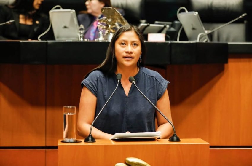 La justicia no puede detenerse: Celeste Ascencio Ortega
