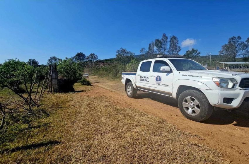 Hallan cadáver humano parcialmente sepultado en predio de Cuitzeo
