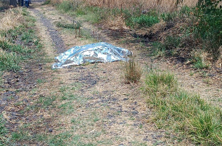 Un presunto ladrón abatido y otro detenido al enfrentarse contra la policía en Zamora