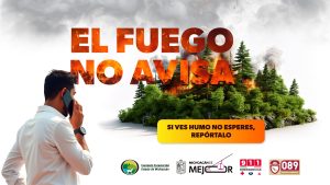 https://cofom.michoacan.gob.mx