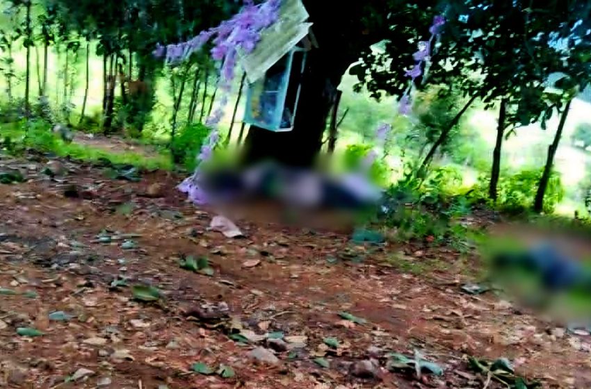  Crónica| Cherán no se rinde: Ronda Comunitaria enfrenta al CJNG
